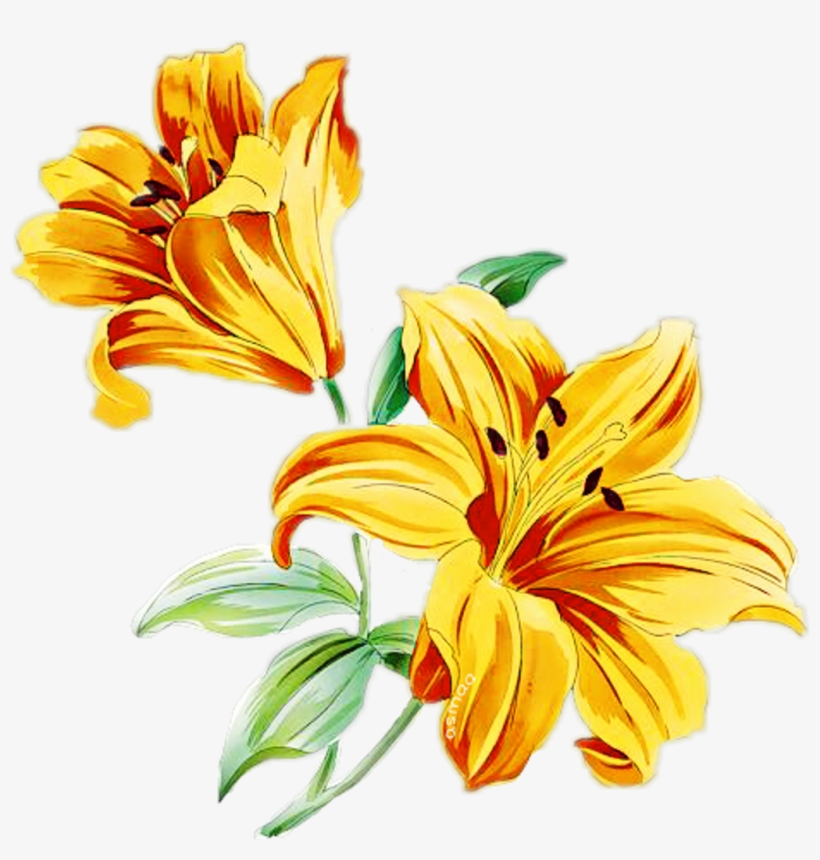 Flower Flowerbranch Flowercrown Rosesarebeautiful Yello - Лилии Рисунок, transparent png #6051591