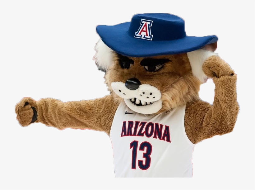 Global Wildcat Sports Series - University Of Arizona Wilbur, transparent png #6051818