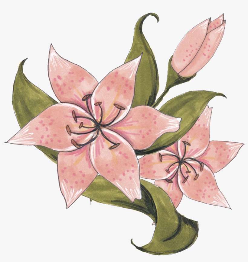手絵2輪の花がpngの透明な素材。唯美。美しい - Cartoon, transparent png #6051820
