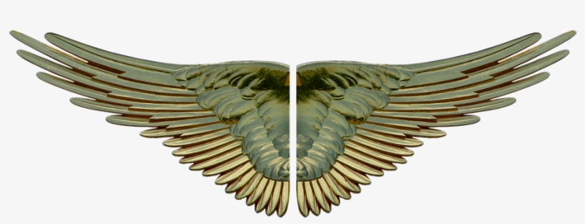 Golden Wings - Clip Art, transparent png #6052616