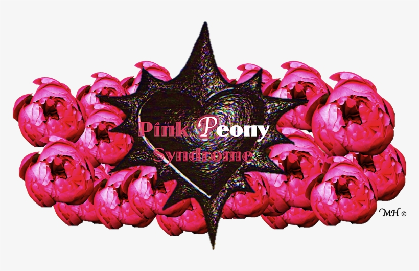 Coral Pink, transparent png #6054604