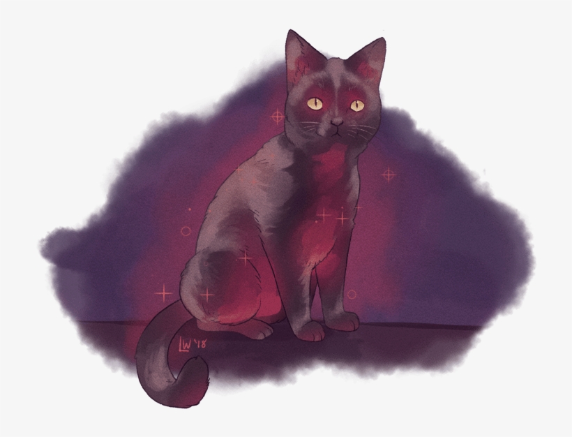 Black Cat, transparent png #6058428