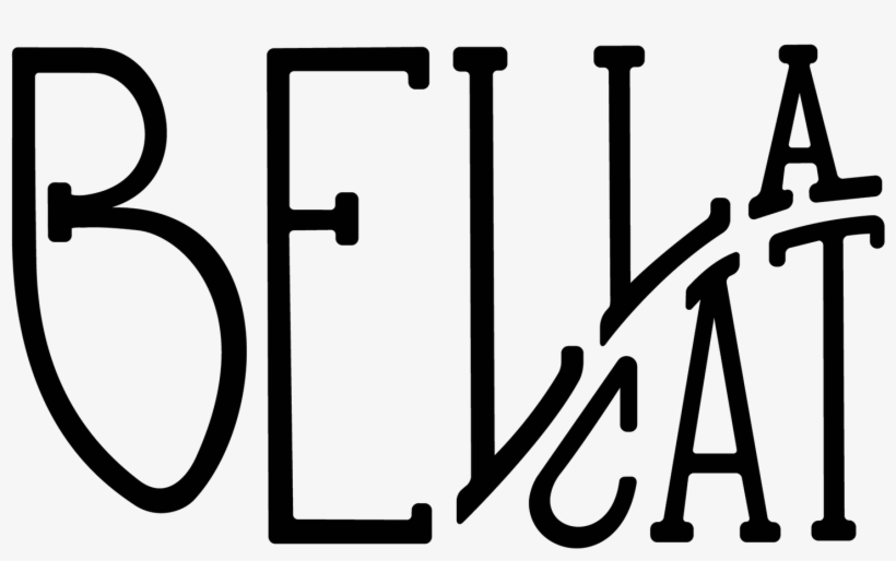 Bella Cat, transparent png #6058786