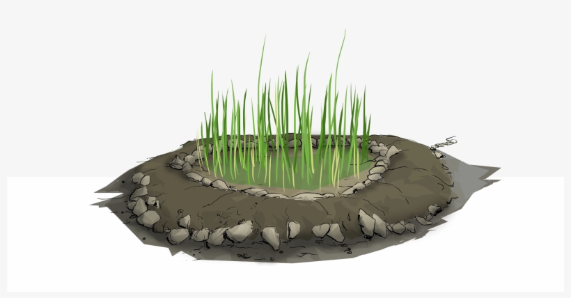 Make Use Of Nutrients, And Then Release The Cleaner - Sweet Grass, transparent png #6059632