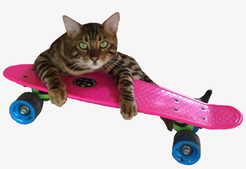 Report Abuse - Penny Board, transparent png #6060264