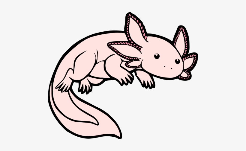 Axolotl Free Transparent Png Download Pngkey