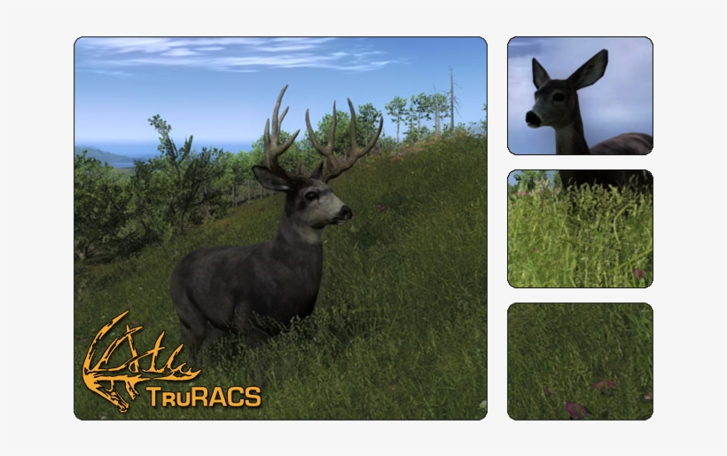 Description - Hunter Mule Deer, transparent png #6061538