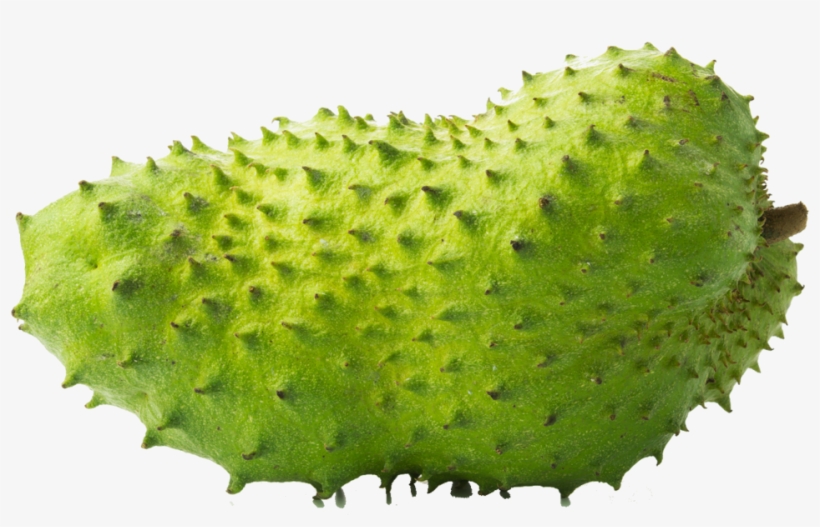 Soursop Png, transparent png #6062637