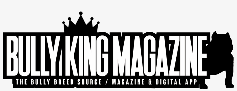 Graphic Design, transparent png #6063995