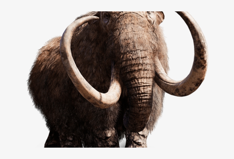 Far Cry Png Transparent Images - Far Cry Primal Mammoth, transparent png #6065101