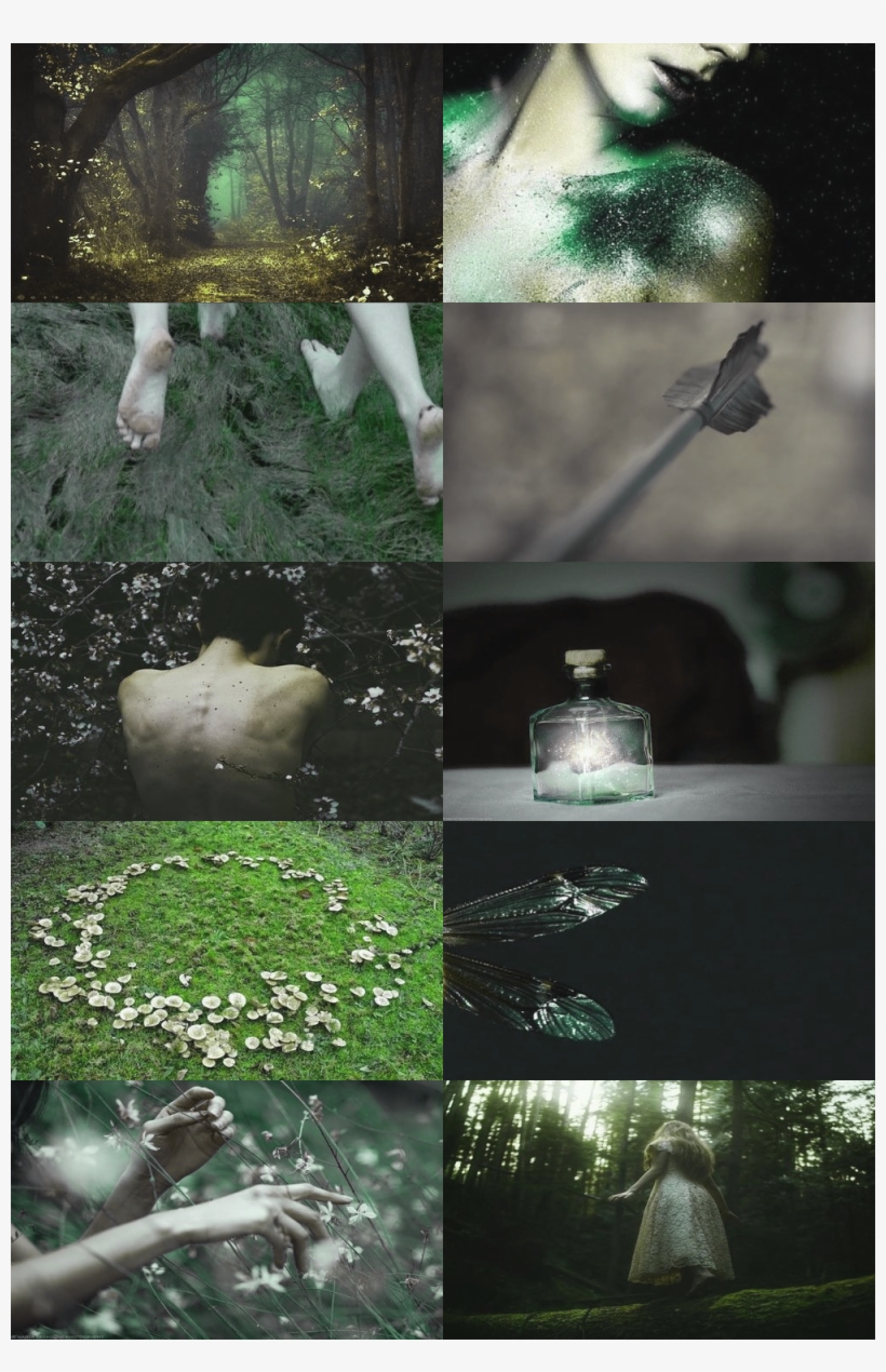 Fairy Aesthetics Pinterest Fantasy And Forest Land - Moon Fairy Aesthetic, transparent png #6065375