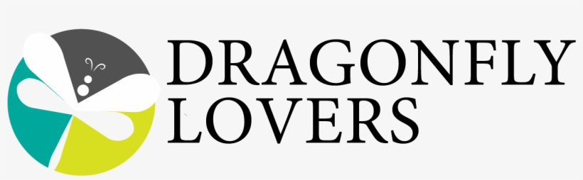 Dragonfly Lovers - Lingaya's University Faridabad Logo, transparent png #6065579