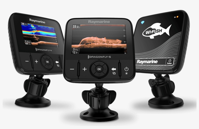 Download High-resolution Dragonfly Images, transparent png #6065853