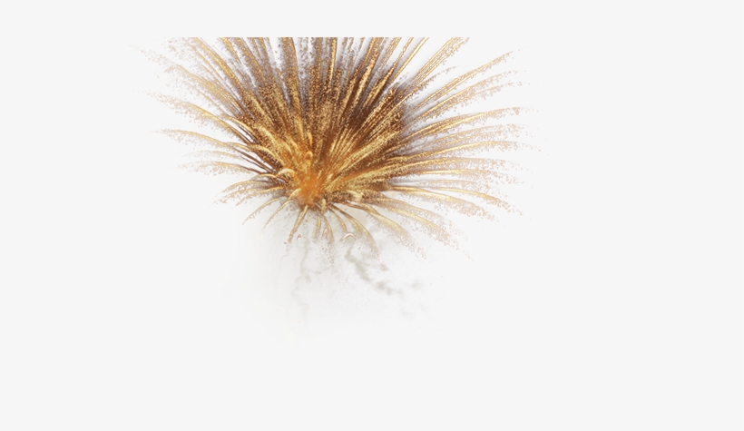 Please Rotate Your Device For The Optimal Experience - Fireworks, transparent png #6066114