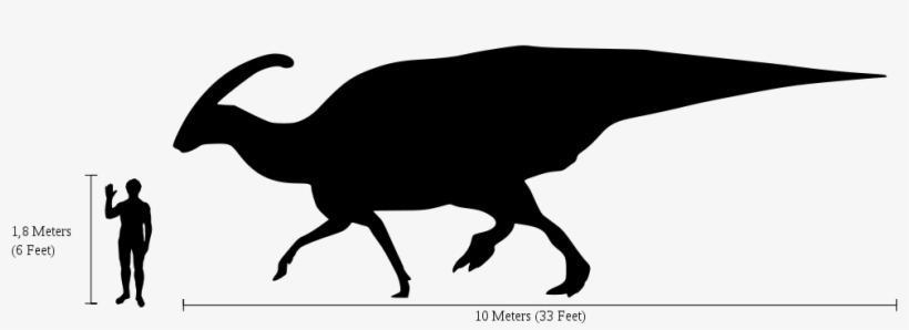 Open - Parasaurolophus Human, transparent png #6069676