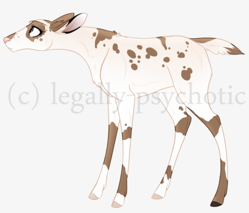 Bambi Oc - Piebald Deer Bambi Oc, transparent png #6070319