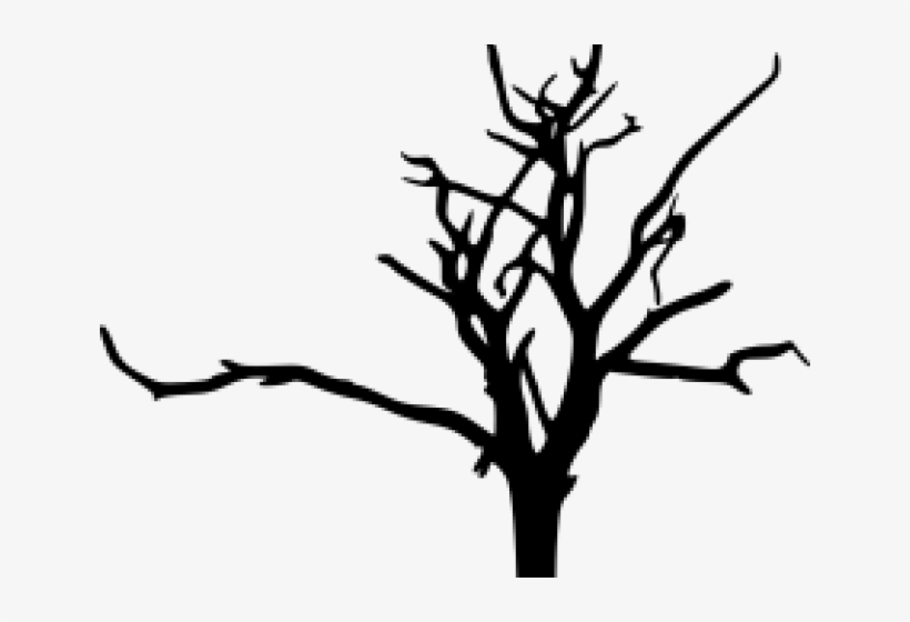 Drawn Bud Transparent Background, transparent png #6070590