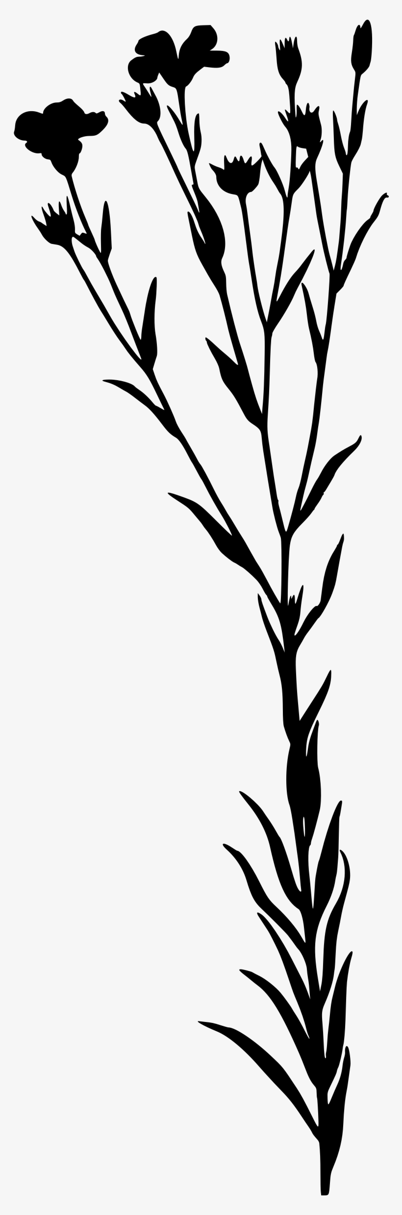 This Free Icons Png Design Of Linseed, transparent png #6070721