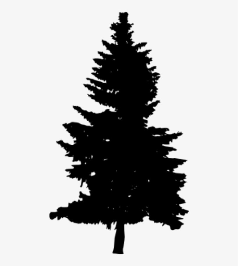 Download Free Png Pine Tree Silhouette Png Images Transparent - Pine Tree Vector Png - Free Transparent ...