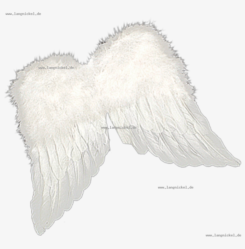 Autumn Maple Tree With Red - Pigeons And Doves, transparent png #6071356