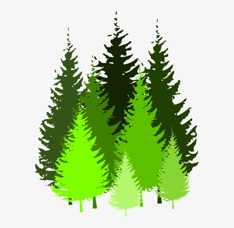 Cartoon Pine Trees 5, Buy Clip Art - Pine Tree Clip Art, transparent png #6072403