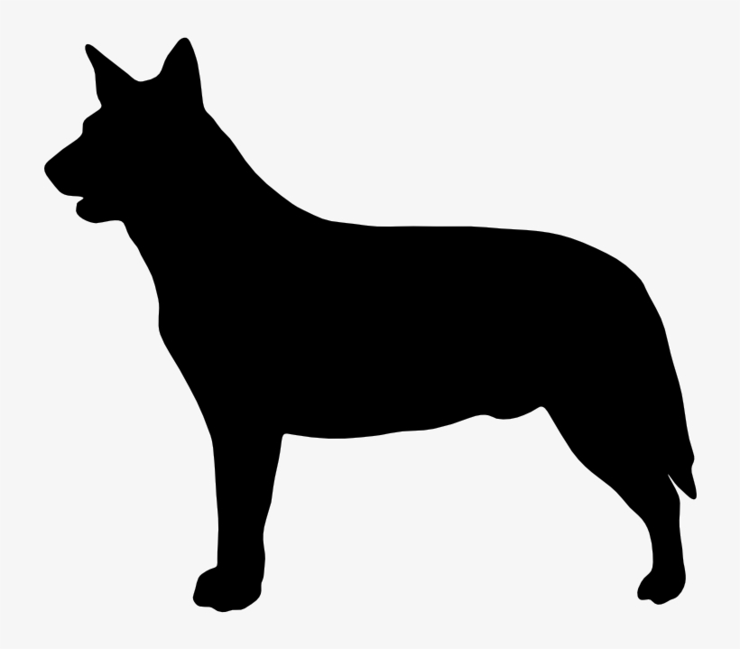 Cattle Dog Silhouette At Getdrawings - Australian Cattle Dog Silhouette, transparent png #6072636