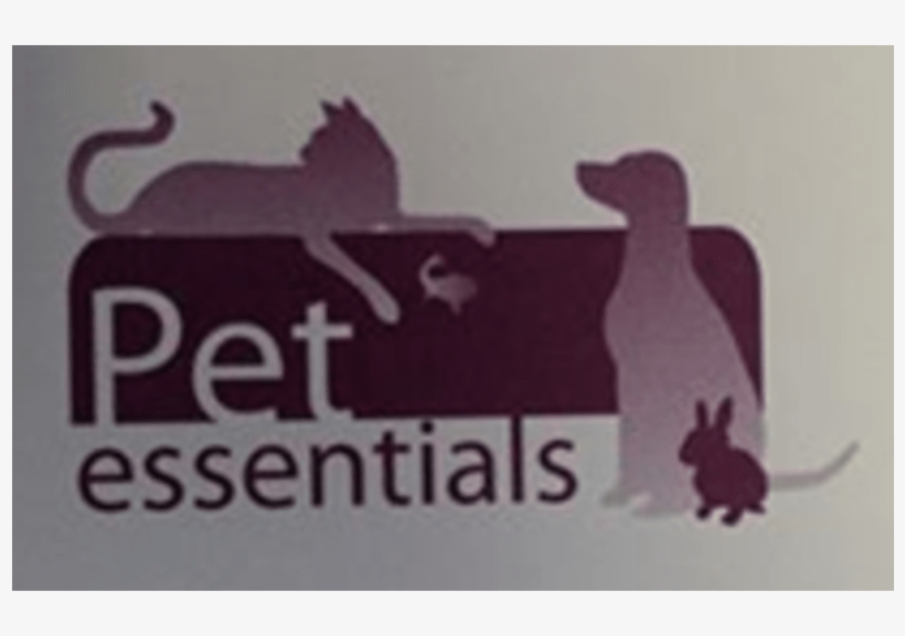 Meerkat, transparent png #6073274