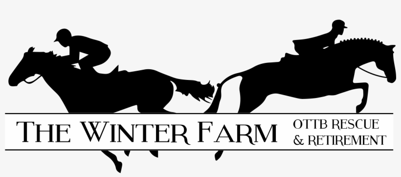 Retirement, transparent png #6074388