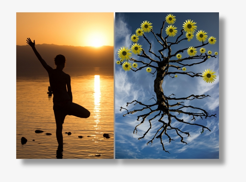 Illustration, transparent png #6074395