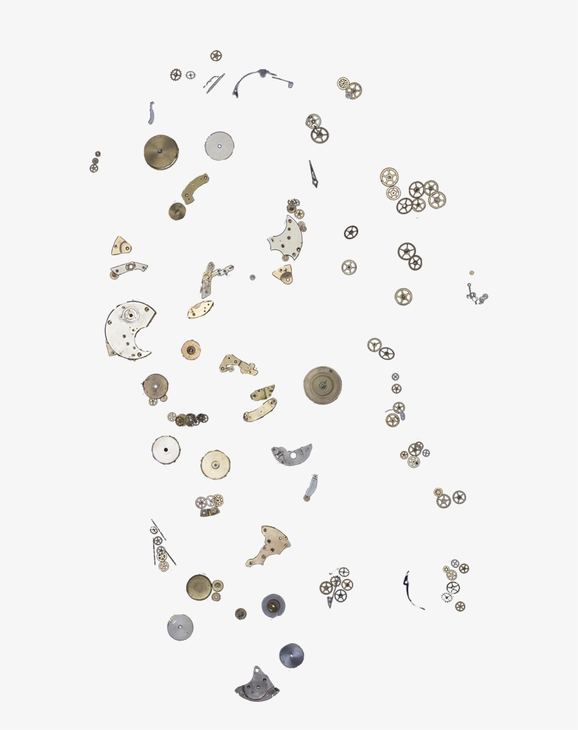 Hospital Facade - Insect, transparent png #6074842