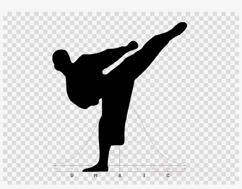 Martial Arts Silhouette Png Clipart Karate Martial - Black And White Icons Plane, transparent png #6074994