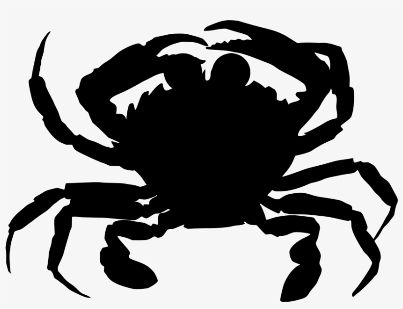 Download Png - Animal Live In Water, transparent png #6075246