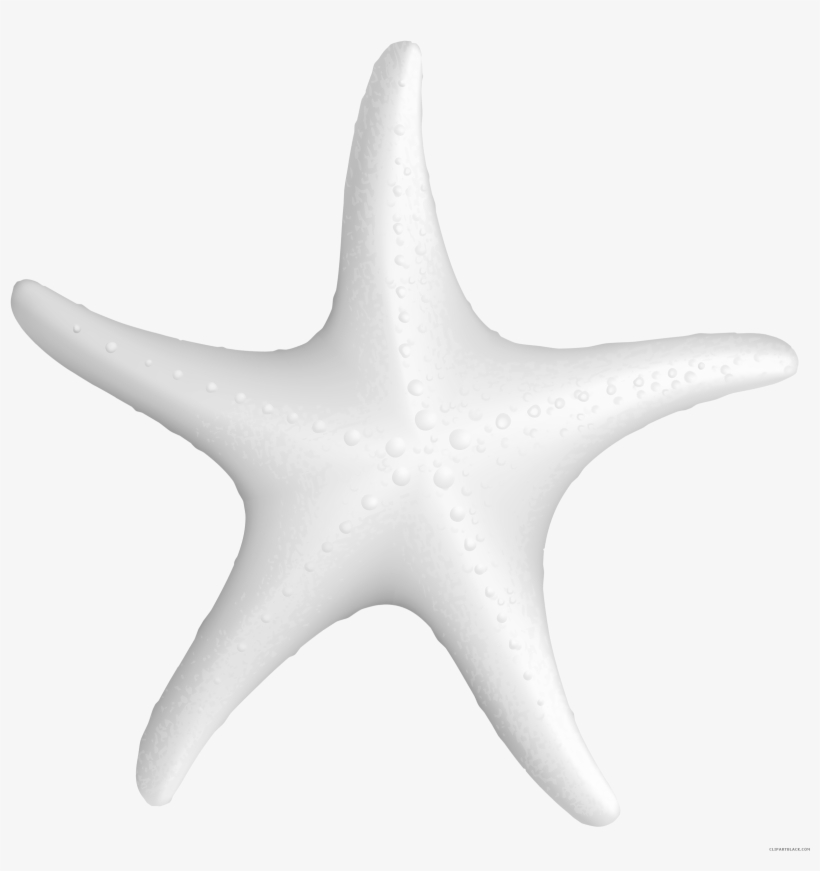 Clip Art Library Star Fish Techflourish Collections, transparent png #6076667