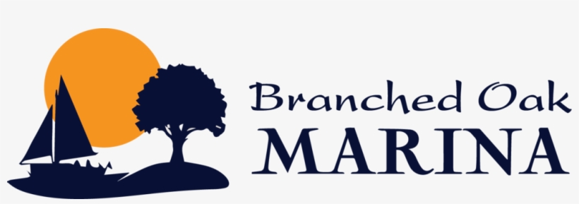 Branched Oak Marina, transparent png #6077803