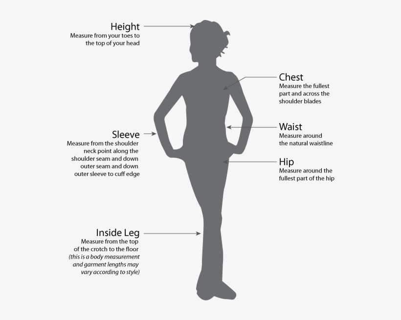 Chest, transparent png #6079254