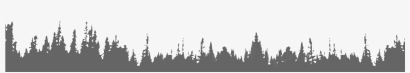 Shortleaf Black Spruce, transparent png #6080087