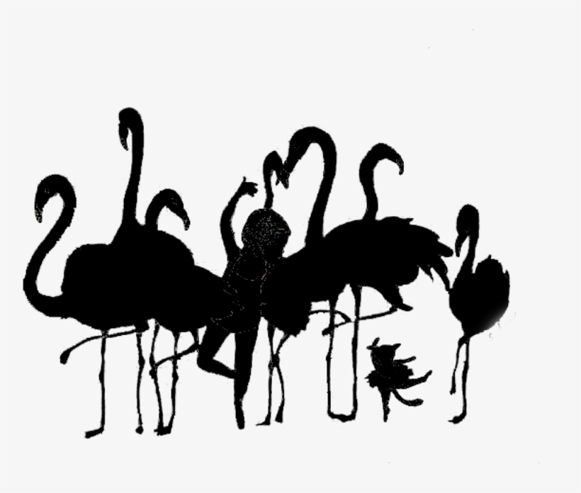 Silhouette Flamingos Ftestickers - Flamingo, transparent png #6080423