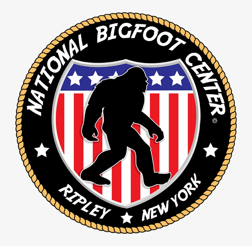 Seattle Floor Service, transparent png #6080985