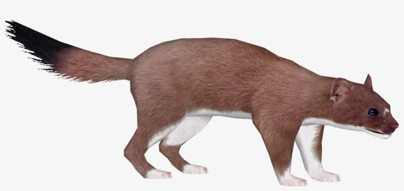 Bigfoot Transparent Zt2 Clip Art Transparent - Zoo Tycoon 2, transparent png #6081054