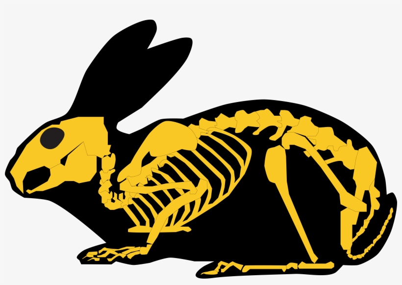 Gold Rabbit Skeleton And Silhouette - Rabbit, transparent png #6081440