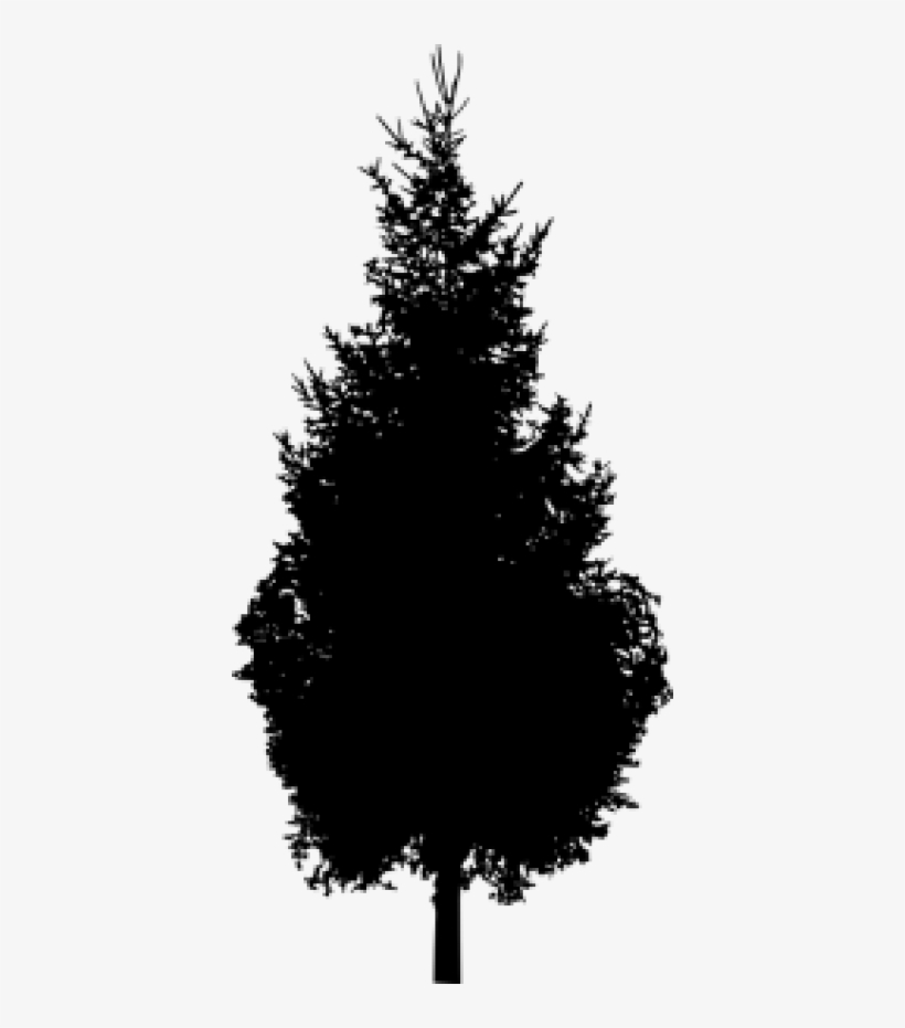 Pine Tree Silhouette - Pine Tree Silhouette Png, transparent png #6082531