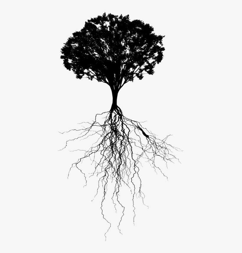 Tree With Deep Roots Silhouette - Tree Silhouette Root Png, transparent png #6083070