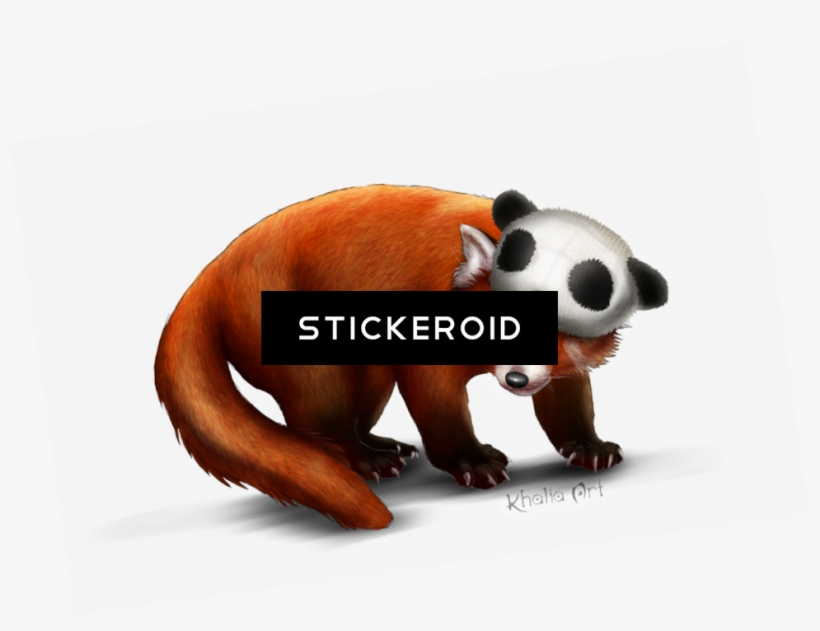 Red Panda - Panda, transparent png #6086717