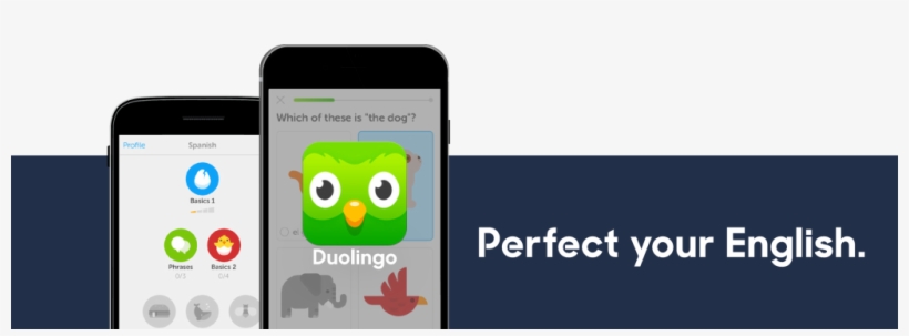 Duolingo Can Help - Iphone, transparent png #6088884