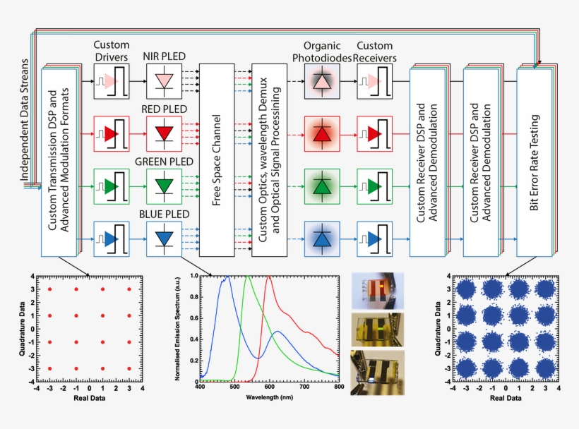 We Are Particularly Interested In Wavelength Division - Essay, transparent png #6091626
