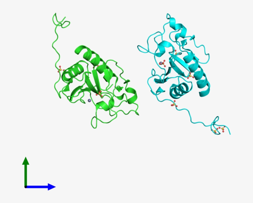 Ribbon Structure Of 3m1n, transparent png #6094921