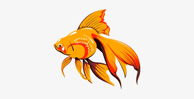 Marine Fish, Goldfish, Sea Fish, Glittering Png Image - Golden Fish Clipart, transparent png #610059