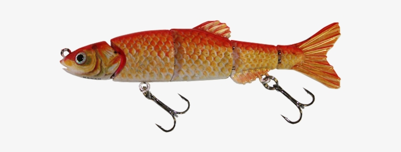 Aqua Relic Minnow Goldfish Swimbait - Swimbait, transparent png #610153