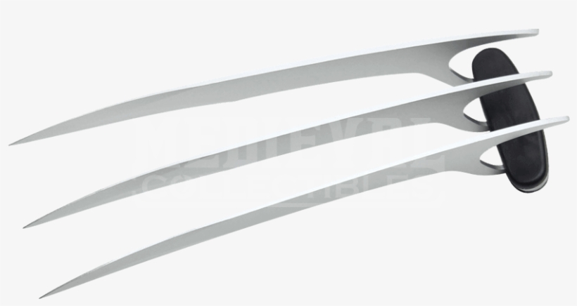 Stainless Steel Hand Claw - 9' Stainless Steel (silver) Hand Claw, transparent png #610210