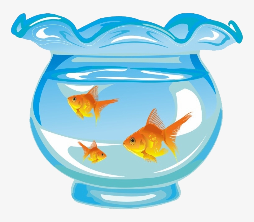 Goldfish Aquarium Fishkeeping - 鱼缸 里 的 鱼, transparent png #610320
